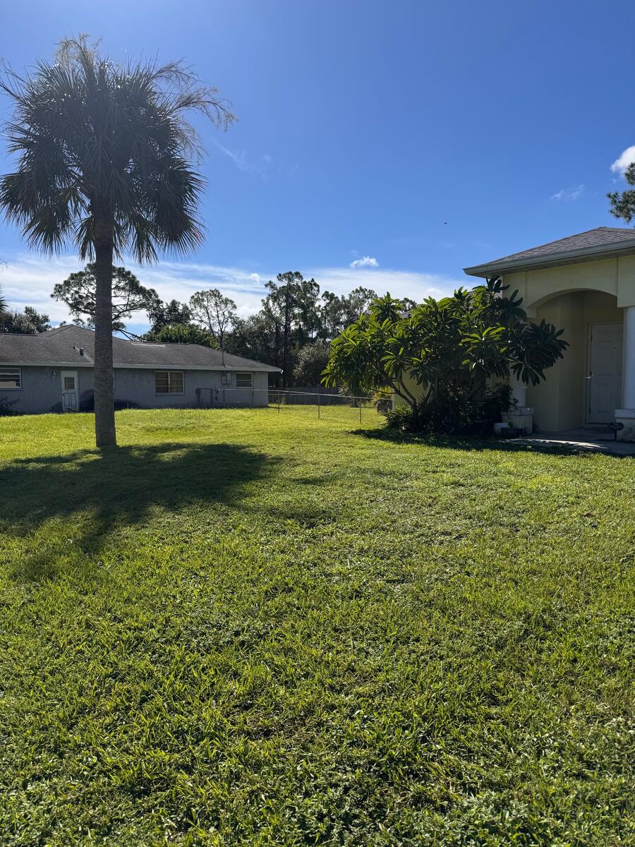 Freshly mowed front lawn with a palm tree