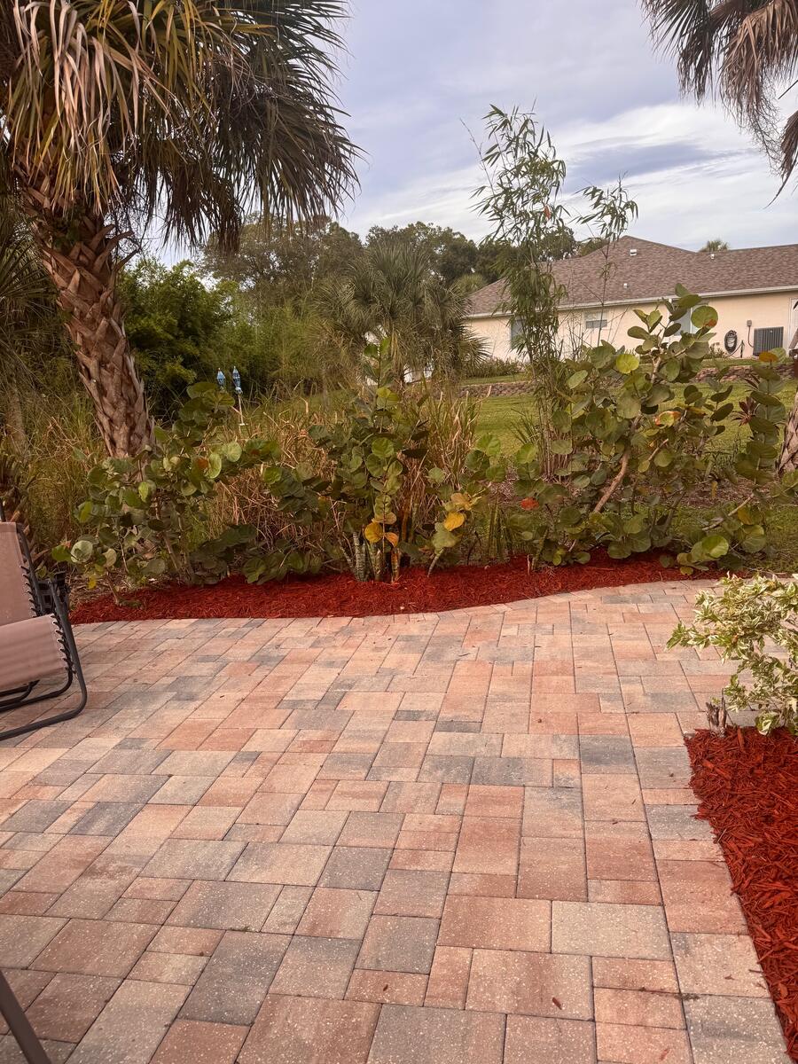 Curved red mulch bed with sea grape behind a paver patio